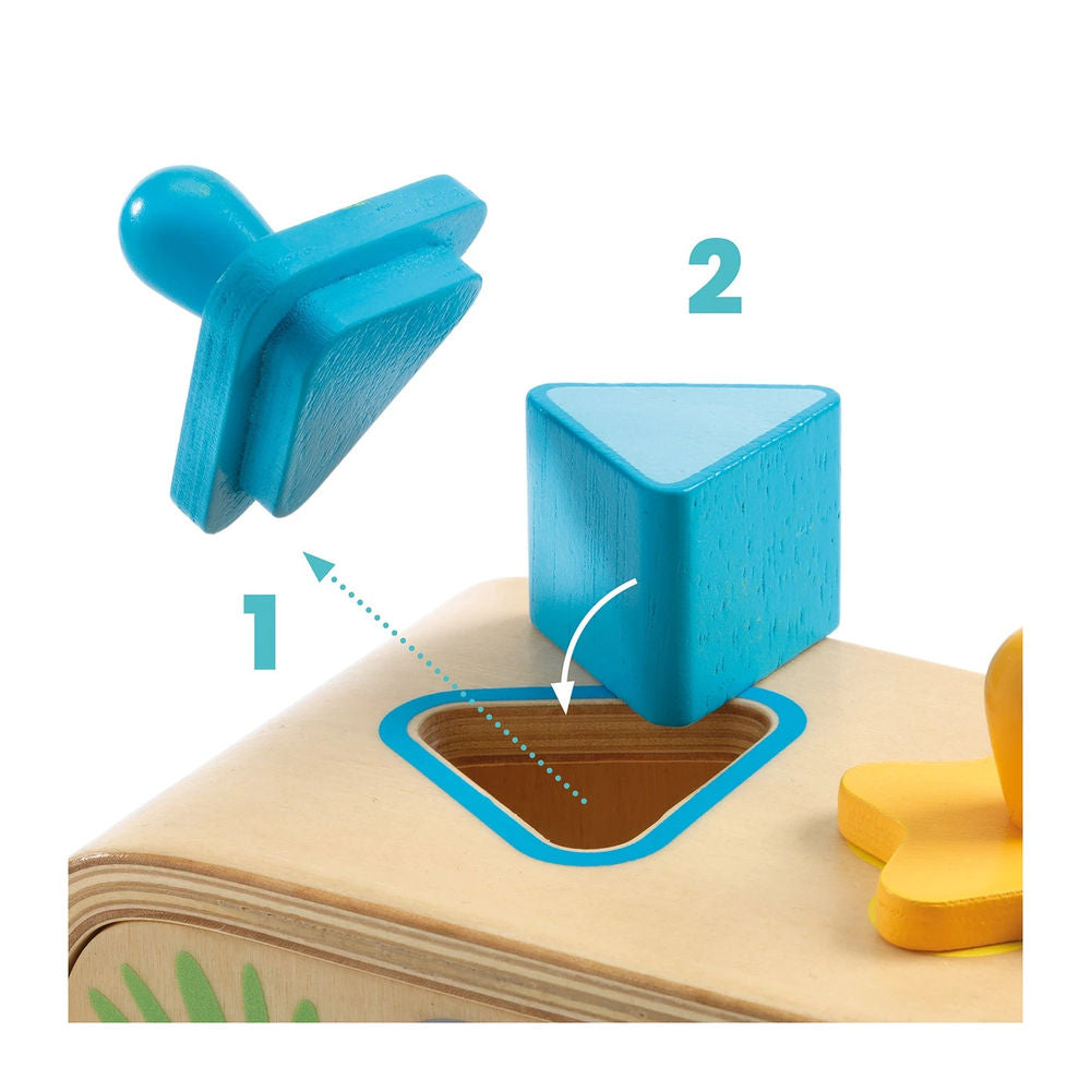 Djeco Multi Boîte