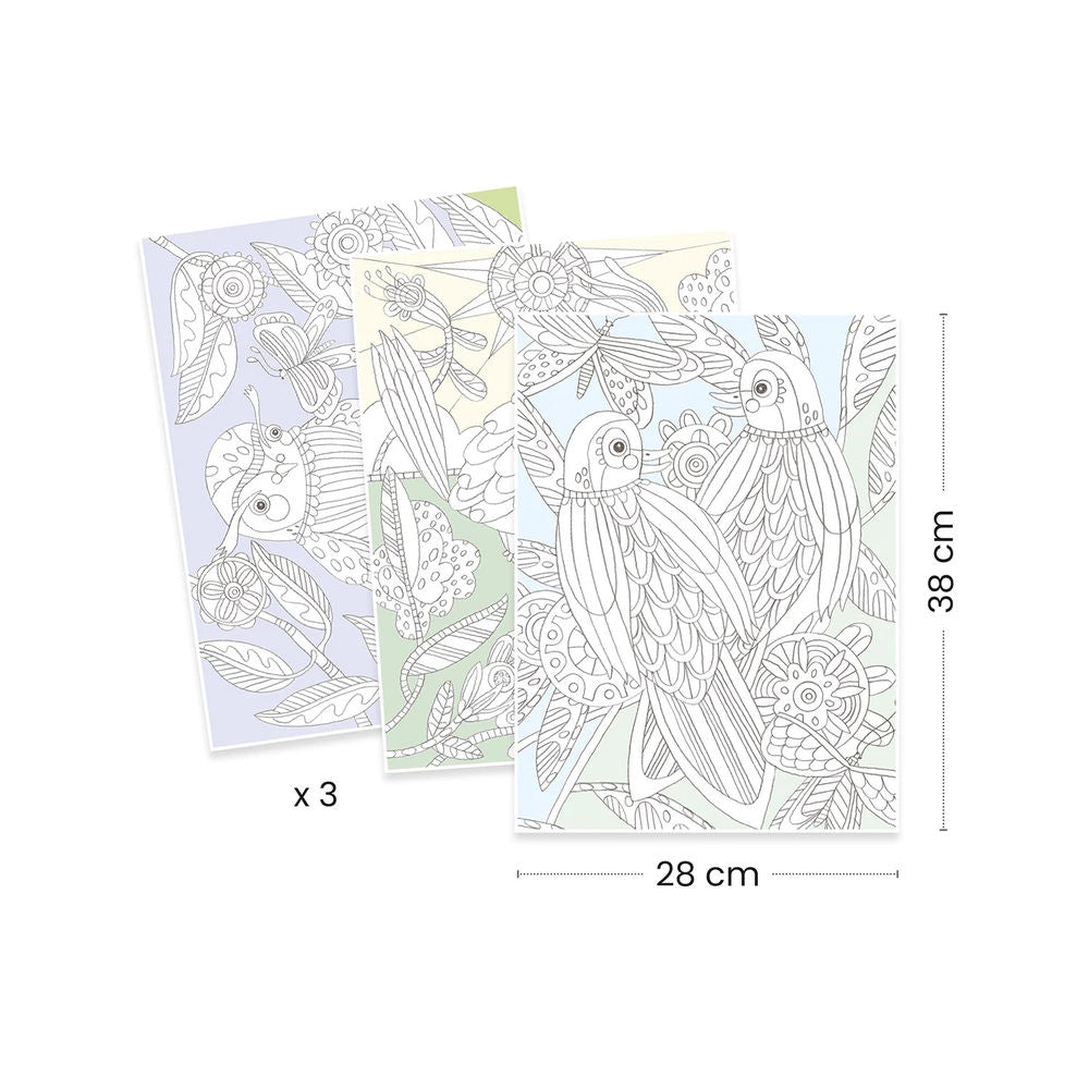 Djeco Colouring Gallery Birds