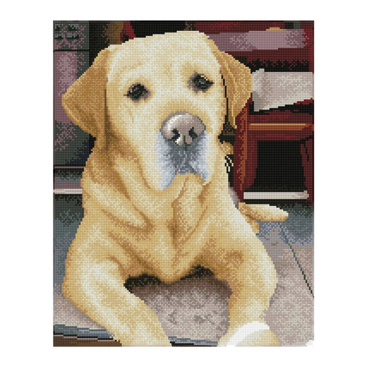 Diamond Painting Labrador