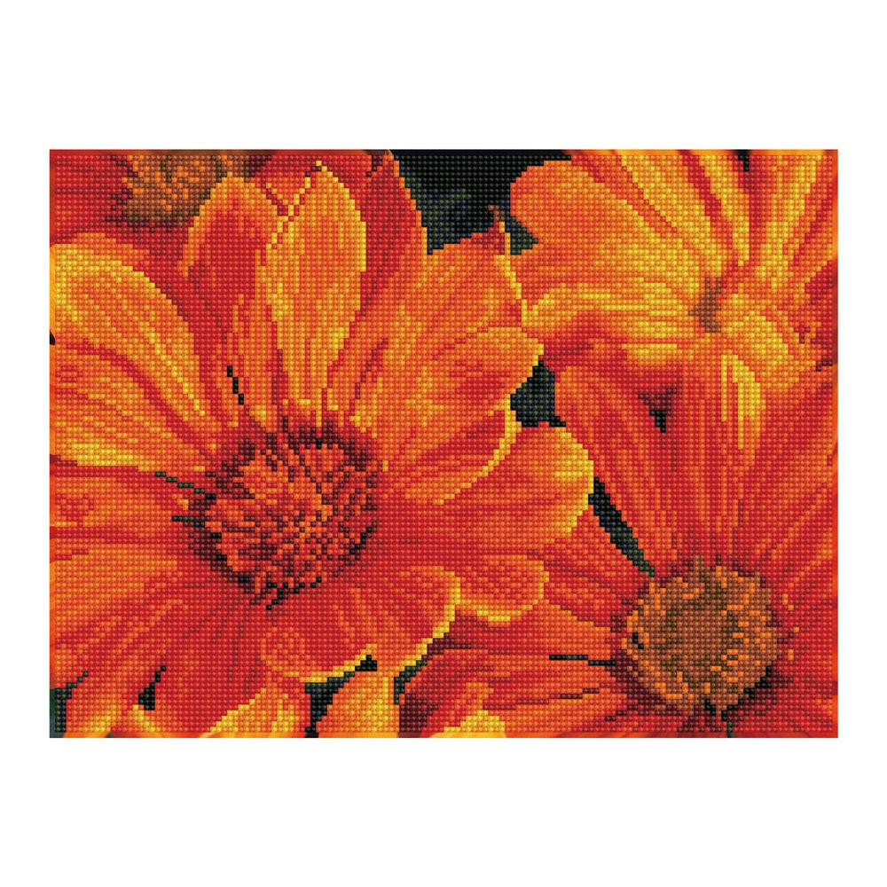 Diamond Painting Mittagsblume