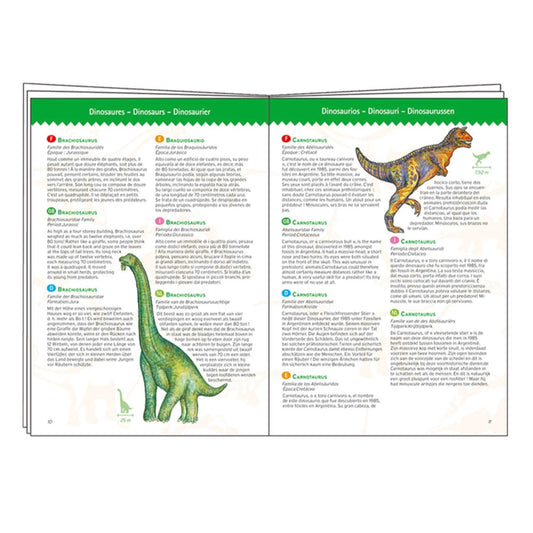 Djeco dinosaures, 100 pièces