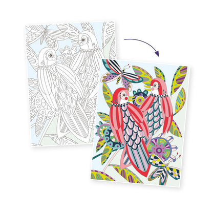 Djeco Colouring Gallery Birds