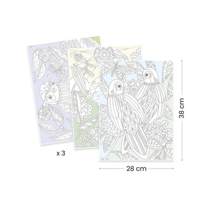 Djeco Colouring Gallery Birds